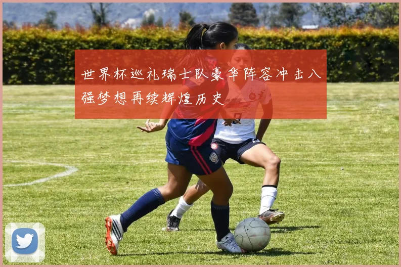 世界杯巡礼瑞士队豪华阵容冲击八强梦想再续辉煌历史
